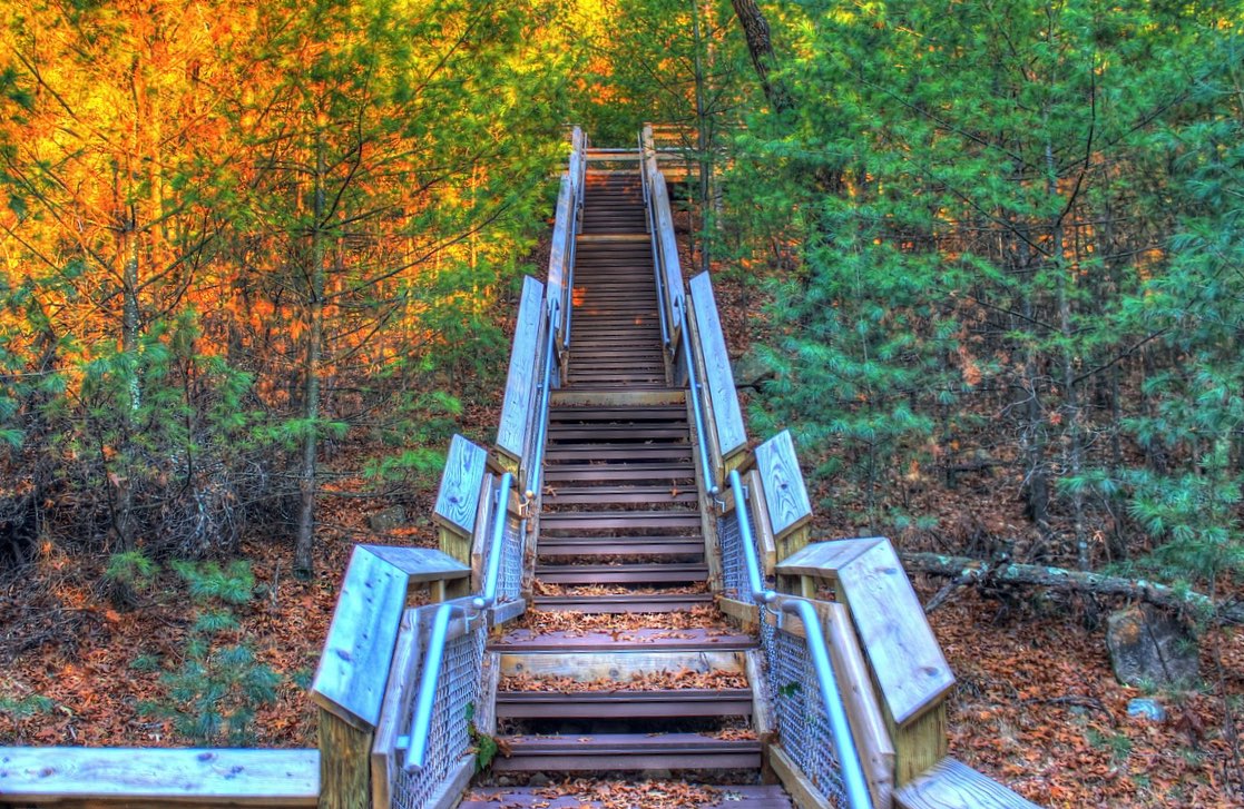 forest-stairs