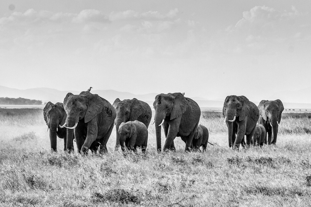 In order to truly make decisions for yourself, you have to step away from the herd.