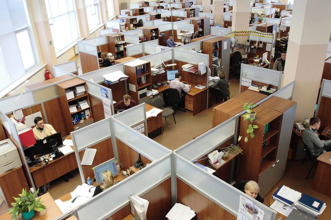 office workers at cubicles