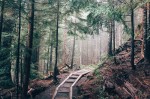 Navigating the Winding Path for Millennials